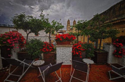 Altamura Bed & Breakfast | Casa Farella B&B in SUITES Apartments and Terrace Altamura x Matera