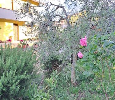 Acquaviva House | Casa Gli Ulivi