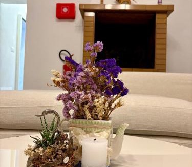 Imola Apartment | Casa in Centro con Giardino