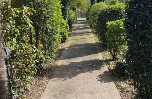Jesolo Pineta House | Casa Pineta, surrounded by greenery a stone's throw from the sea and the center of Jesolo.