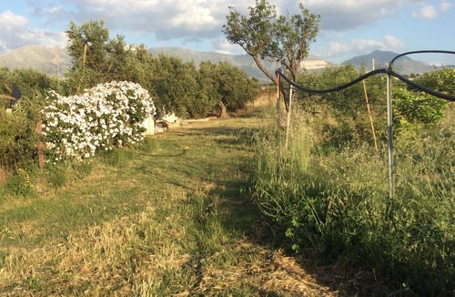 Partinico House | Casa Raffaello, just a stone's throw from the sea. Complete relaxation and tranquility.