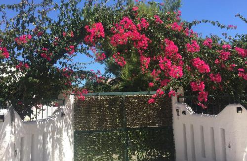 Maruggio Apartment | Casa Stella Marina