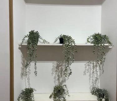 Rocca di Papa Apartment | Casa sulla Rocca