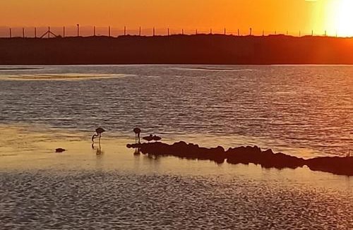 Lido di Tarquinia Apartment | Casa Vacanza Antico Porto Lilla