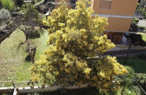 Quartiere XXVII Primavalle Apartment | Casa Vacanze metro Battistini