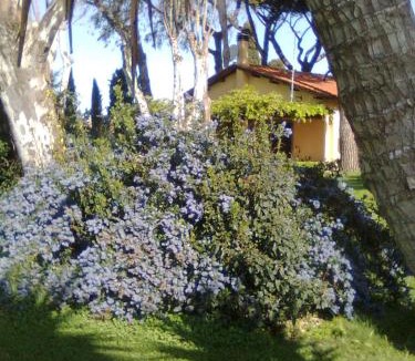 Vigna di Valle House | Casa Vacanze Vigna di Valle