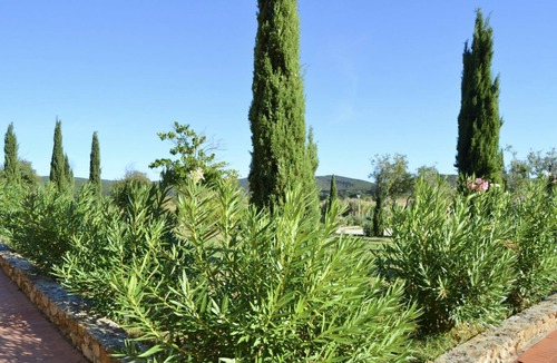 Casalappi Apartment | Casalappi 3-bedroom apartment with garden