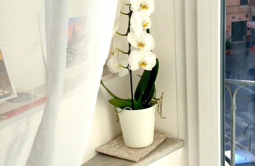 Monti Apartment | Cavour Guest Apartment