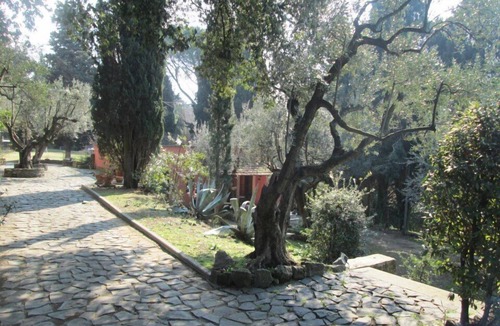 Grottaferrata House | Charming And Romantic Cottage Hill Nearby Rome
