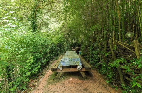 Buggiano House | Charming mill nestled in the woods, convenient for visiting all of Tuscany
