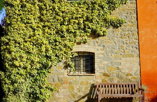 Magione House | Charming Villa in Umbria—Private Pool, Olive Grove near Lake Trasimeno