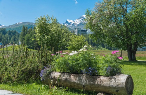 Sils-Maria Apartment | Chesa Flur Sulagl – Flat with a balcony and unobstructed views