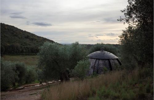 Montorsaio Other | Cosmo Camp