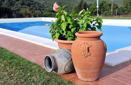 Massa Marittima Apartment | Cosy apartment for 4 people with pool, WIFI, TV, patio and pets allowed