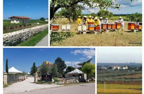 Montegrosso House | Country House Biobonizio