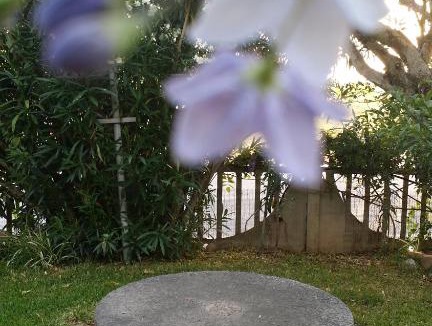 Montepaone Bed & Breakfast | Cubicula B&B