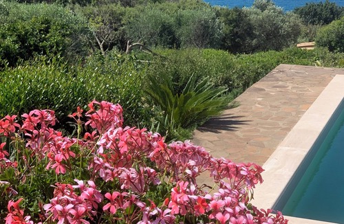 Ansedonia Villa | D'Azur villa with pool, enchantment between Silver Coast and Maremma