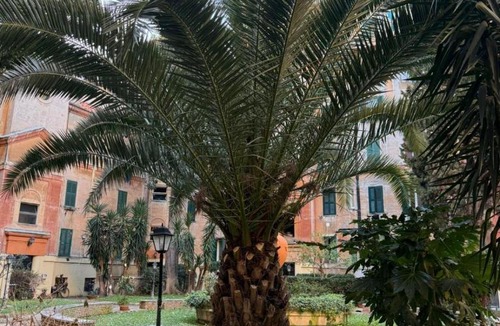 Testaccio Apartment | Da Paoletta a Testaccio