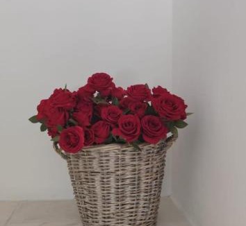 Martina Franca Bed & Breakfast | Dimora di Paola