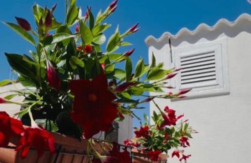 Ruvo di Puglia Apartment | Donna Lucia Apulian Experience