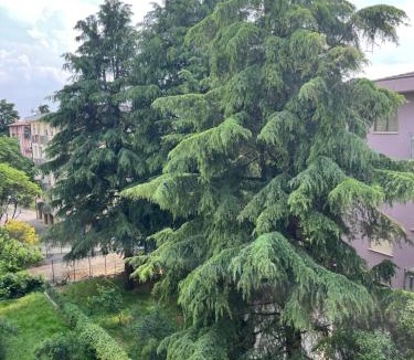 Padova Apartment | Dream & suite
