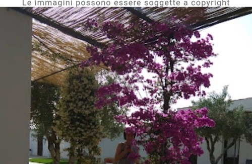Rosa Marina Bed & Breakfast | Elegant double room in ancient Masseria near the sea in a quiet olive trees.