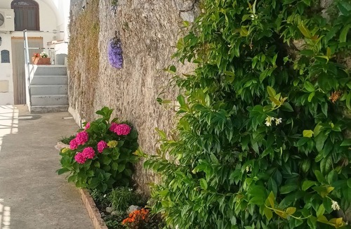 Minori Apartment | Enjoyable 1-bedroom apartment with AC in charming Minori,cozy apartment no steps