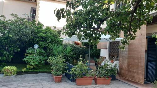 Marino Bed & Breakfast | Fabiola B & B