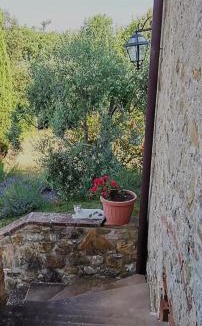 Simignano House | Falesta