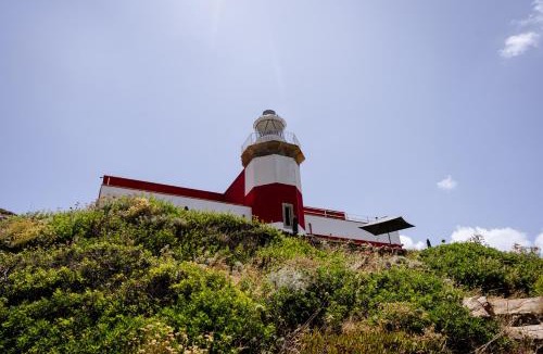 Isola del Giglio Resort | Faro di Punta Fenaio - Caletta Privata