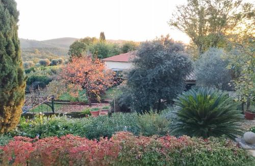 Poderi House | GiuMa Tuscany Historic Country House with Roof Terrace near Saturnia Hot Springs