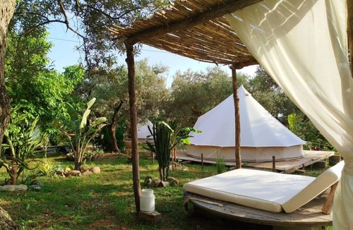 Falerna RV Rental | Glamping Bell Tent for 4 | Family, Donkeys & Olive Grove, Calabria
