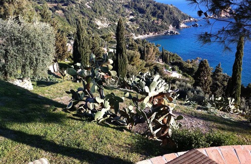 Monte Argentario Villa | Gorgeous villa with private pool and private beach
