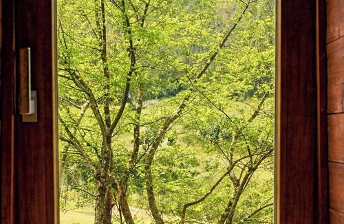 Pontinvrea House | Handbuilt home in the wild Ligurian hills