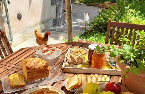 Orvieto House | Holiday flat 'Merula Antica Dimora'