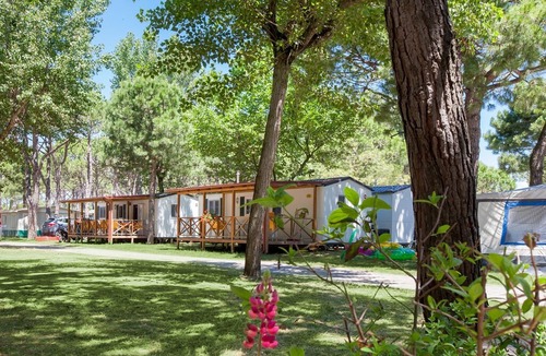 Cavallino-Treporti House | Holiday House - 6 people, 26 m² living space, 2 bedroom, Internet/WIFI, Internet access