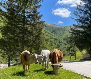 Leonessa Hotel | HOTEL CAMPO STELLA