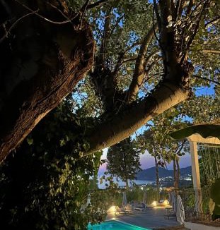 Santa Maria di Castellabate Hotel | Hotel Garden Riviera