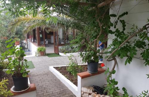 Tremiti Islands Hotel | Hotel Le Viole