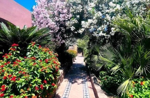 Ventotene Hotel | Hotel Lo Smeraldo - Oasi degli Ulivi
