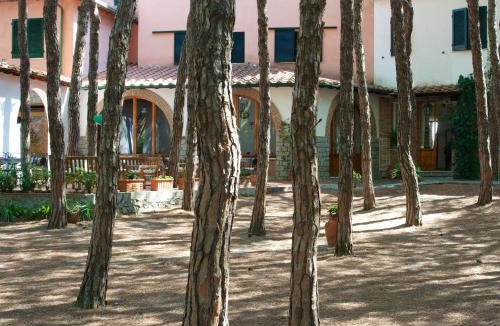 Marina di Campo Hotel | Hotel Villa Nettuno