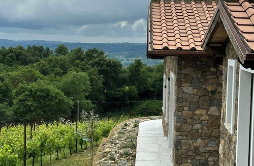 Gradoli House | House among regenerative vineyards near Bolsena