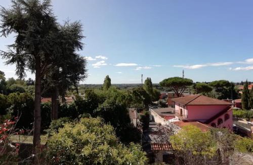 Cassia Apartment | House Volusia