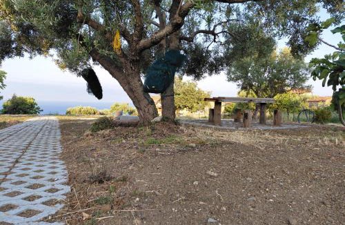 Pisciotta House | Il Borgo di Nonno Carlo