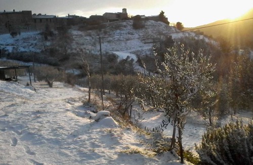 Collemancio Apartment | Il Casale di Fiore - Apartment for 4 in the Umbrian hills