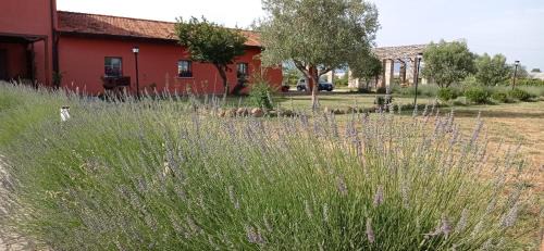 Aprilia Bed & Breakfast | Il Casale di Giulia di Aprilia