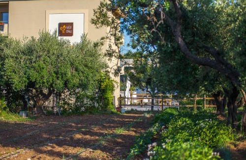 Termoli Bed & Breakfast | Il Gallo Con Gli Stivali
