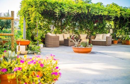 Termoli Bed & Breakfast | Il Gallo Con Gli Stivali