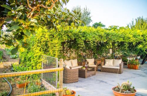 Termoli Bed & Breakfast | Il Gallo Con Gli Stivali