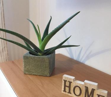San Giovanni Apartment | Il giardino nascosto